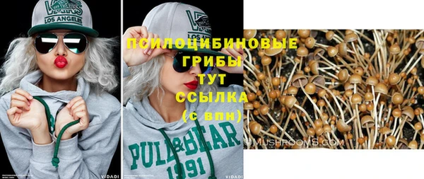 ПСИЛОЦИБИНОВЫЕ ГРИБЫ Алексин