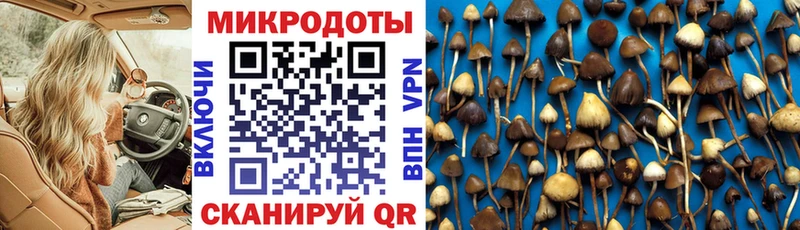 Псилоцибиновые грибы мухоморы  Севастополь 